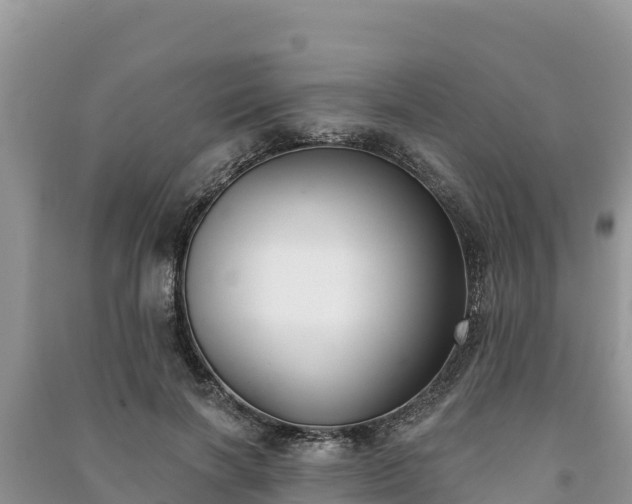 X0000091070646200708131153