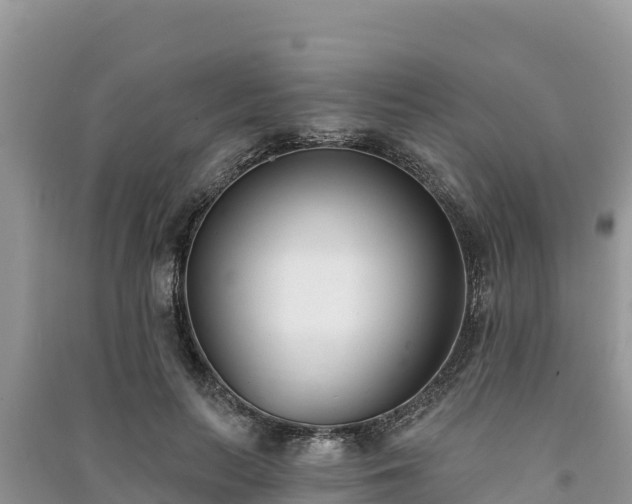 X0000091070647200708131153