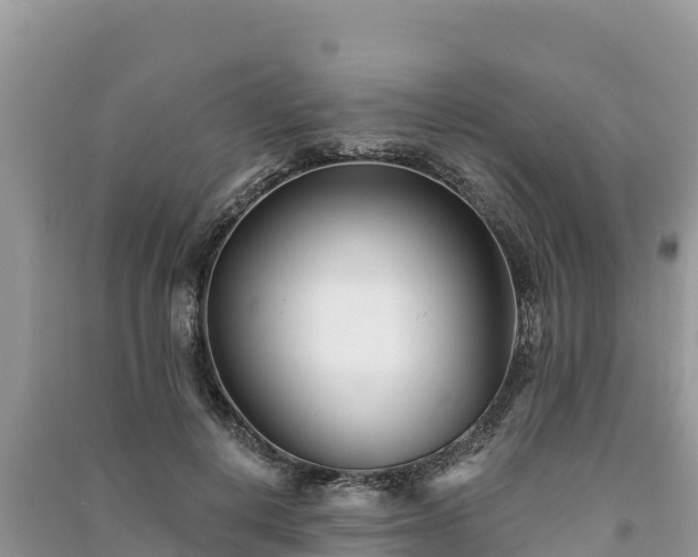 X0000091070648200708131153