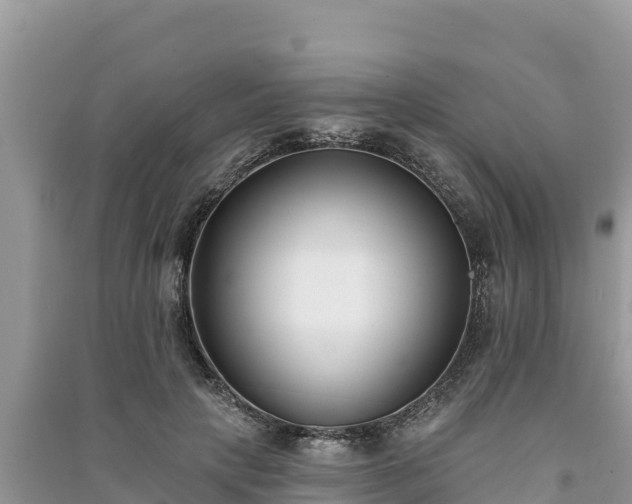 X0000091070649200708131153