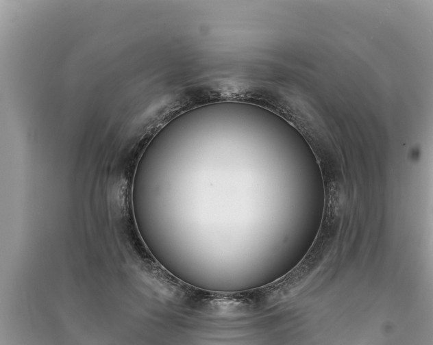 X0000091070650200708131153
