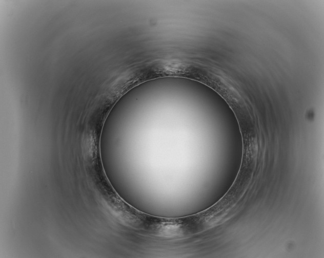 X0000091070651200708131153