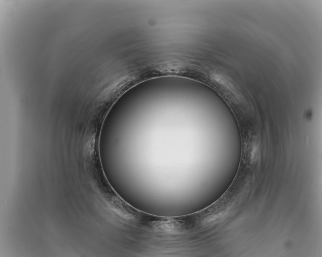 X0000091070652200708131153