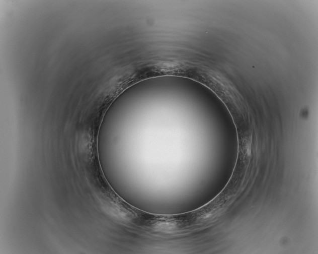 X0000091070653200708131153