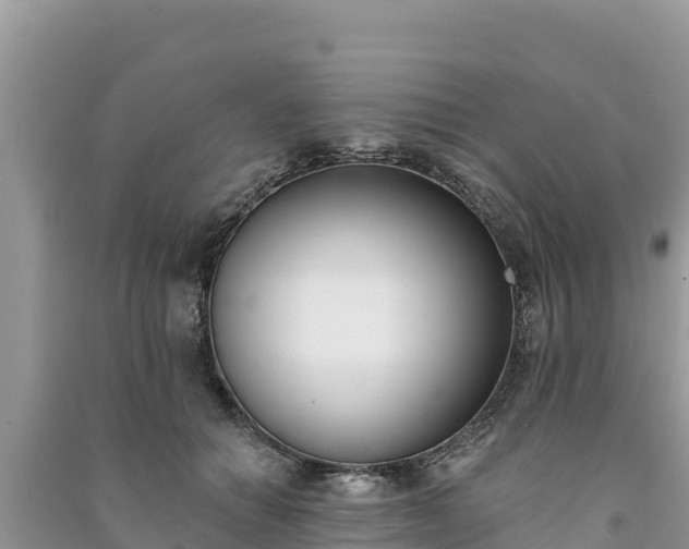 X0000091070654200708131153
