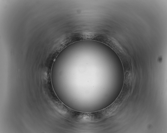 X0000091070655200708131153