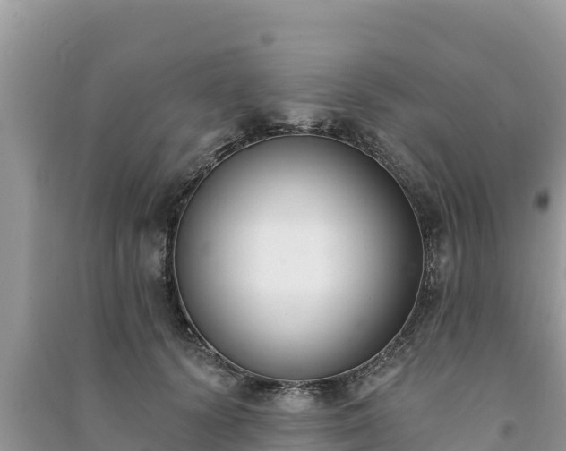 X0000091070656200708131154