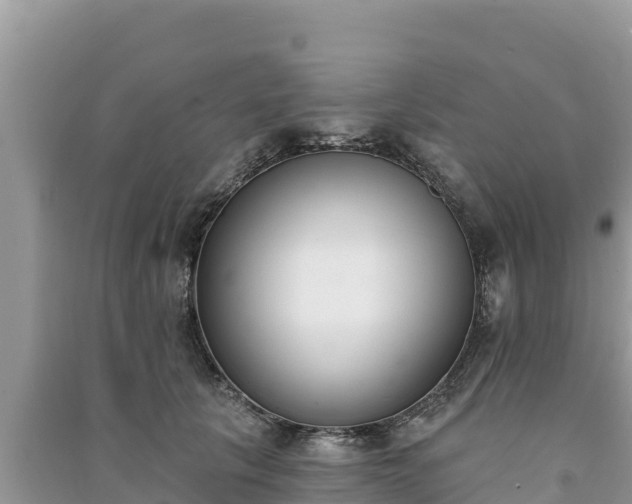X0000091070657200708131154