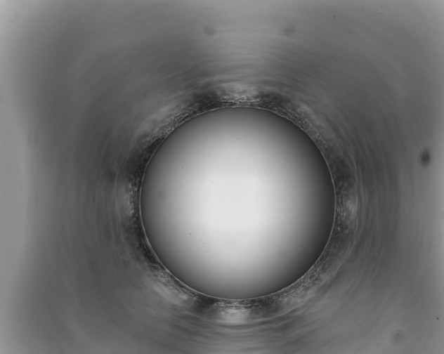 X0000091070658200708131154
