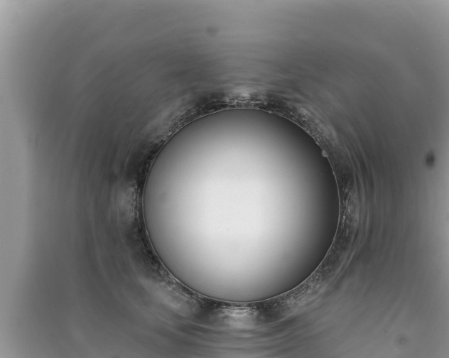 X0000091070659200708131154