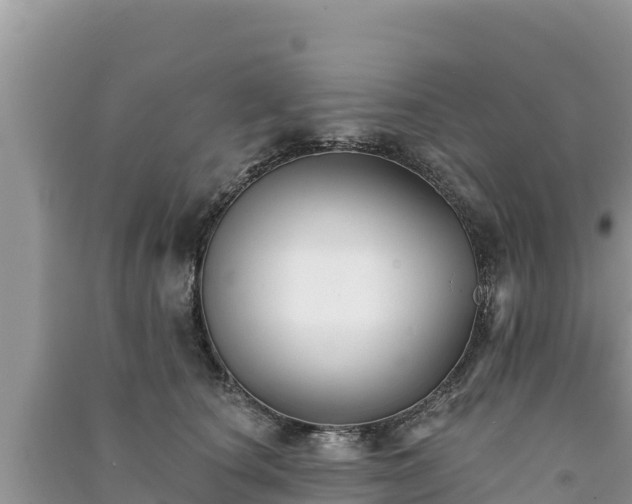 X0000091070660200708131154