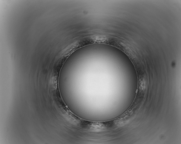 X0000091070666200708131154