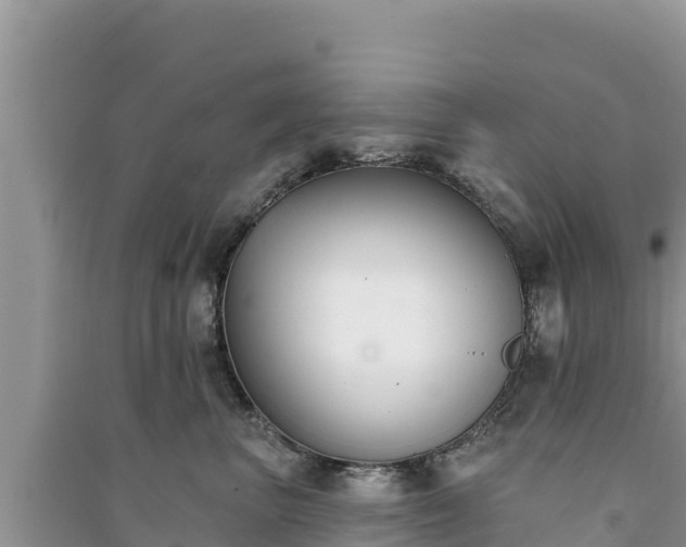 X0000091070667200708131154