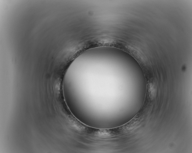 X0000091070668200708131154