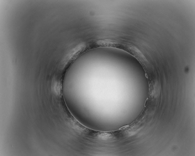 X0000091070669200708131154