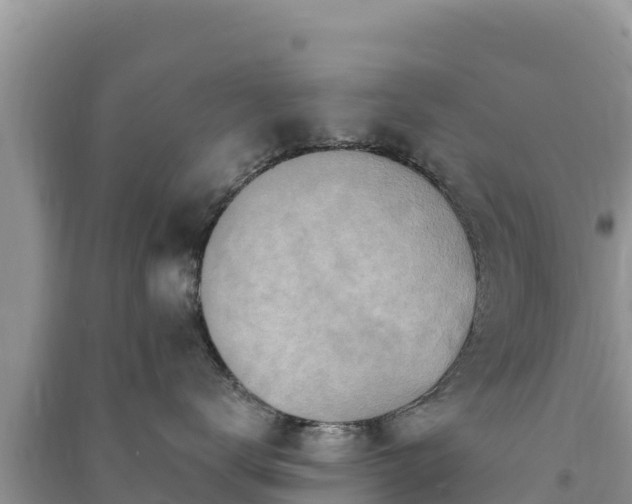X0000091070672200708131154