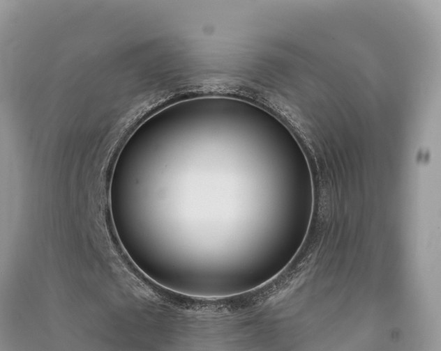 X0000091070673200708131153