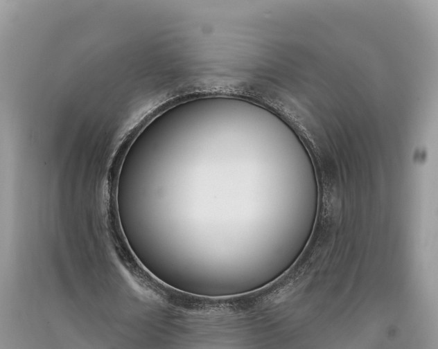 X0000091070674200708131153