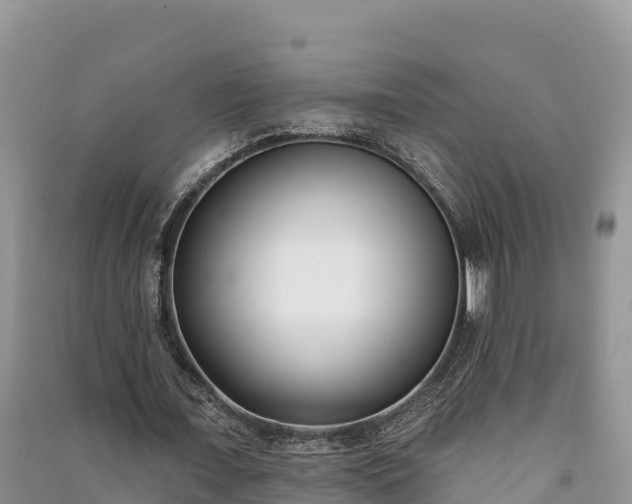 X0000091070675200708131153