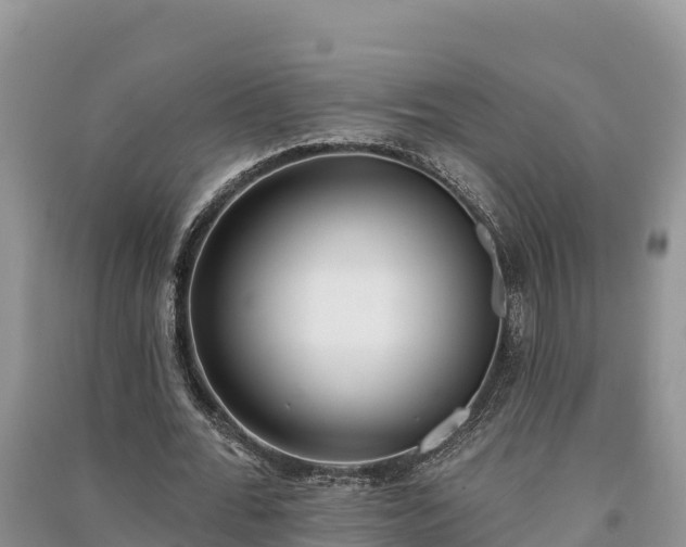 X0000091070676200708131153
