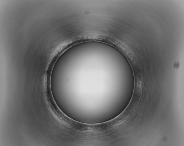 X0000091070678200708131153