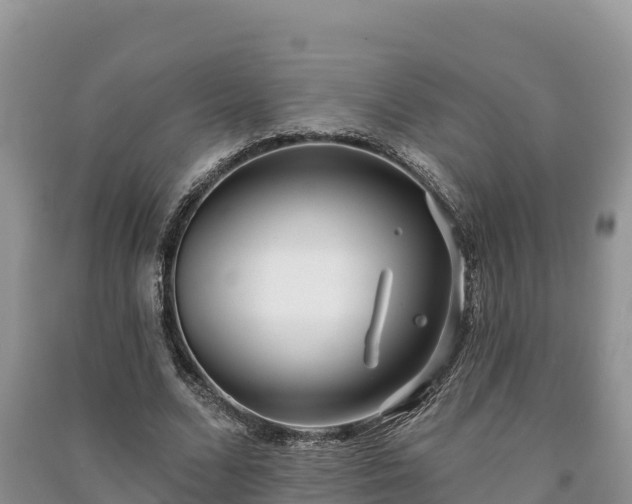 X0000091070680200708131153