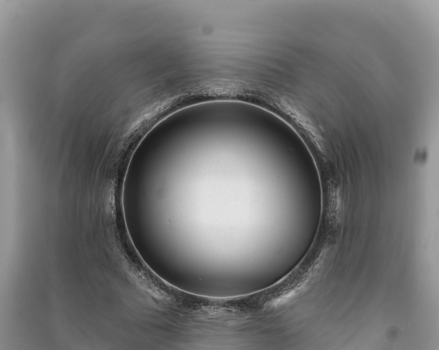 X0000091070681200708131153