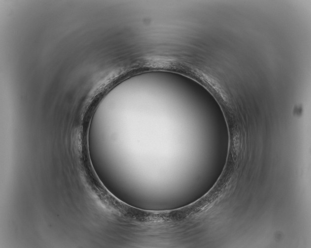 X0000091070682200708131153