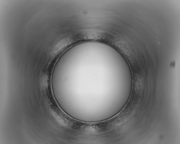 X0000091070683200708131153