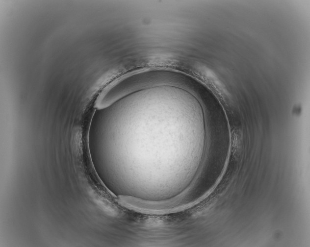 X0000091070684200708131153