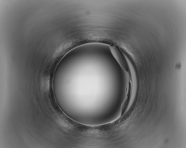 X0000091070685200708131153
