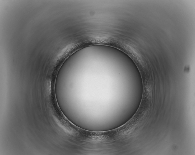 X0000091070686200708131153