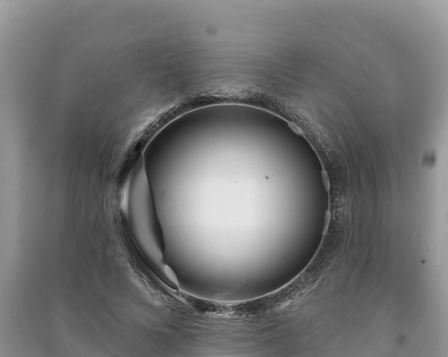 X0000091070688200708131153