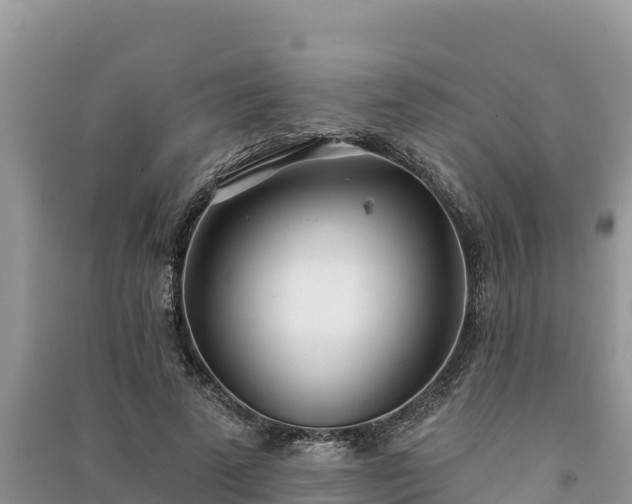 X0000091070689200708131153