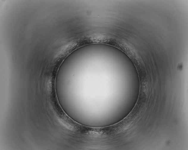X0000091070690200708131153