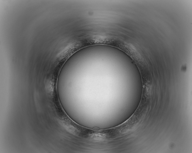 X0000091070691200708131153