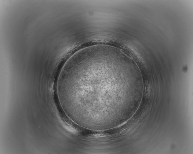 X0000091070692200708131153