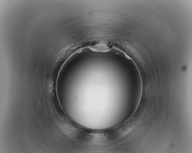 X0000091070693200708131153