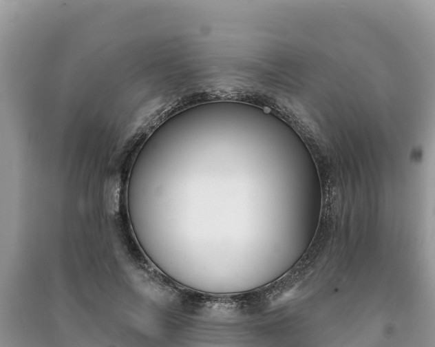 X0000091070694200708131153