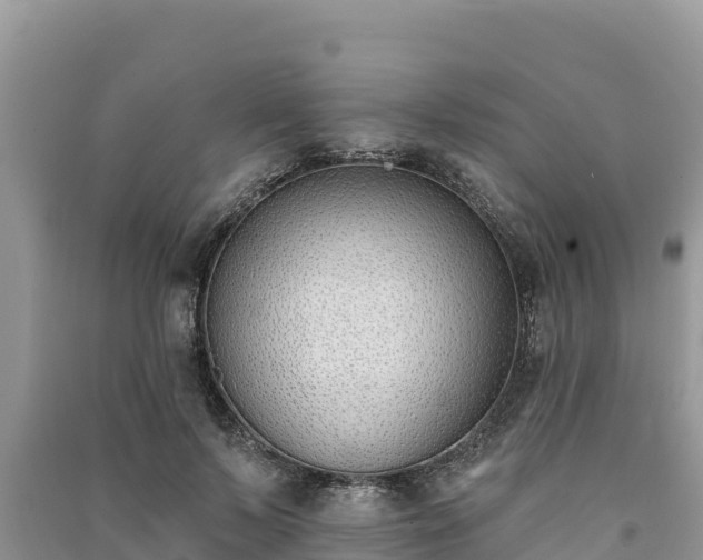 X0000091070695200708131153