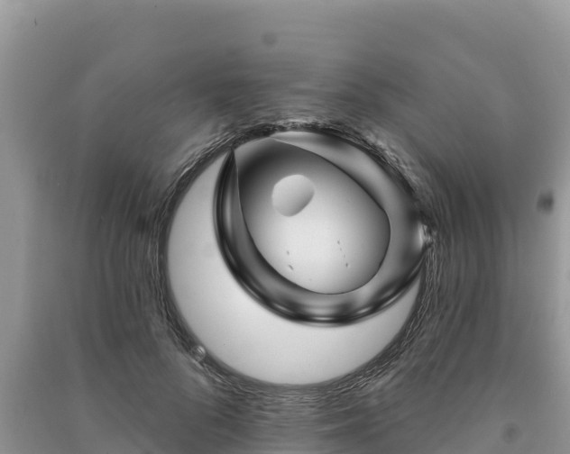 X0000091070696200708131153