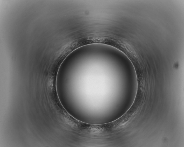 X0000091070697200708131153