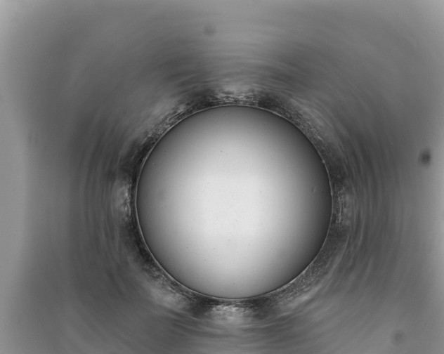 X0000091070699200708131153
