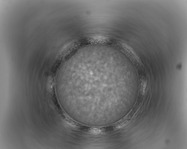 X0000091070701200708131153