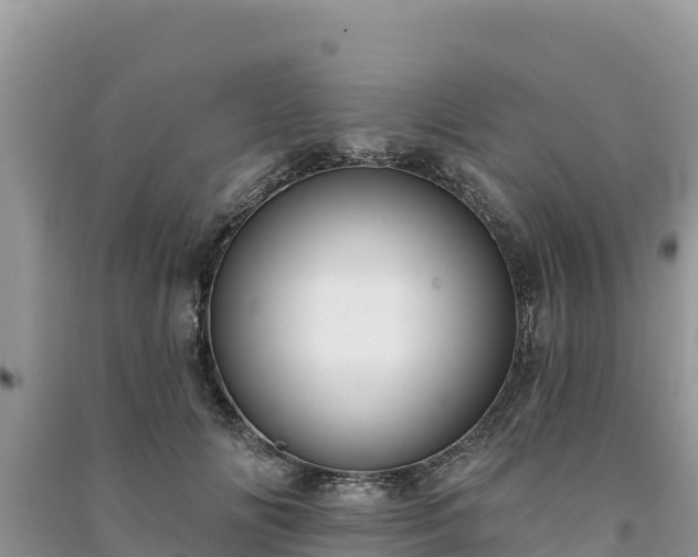 X0000091070702200708131153