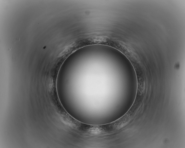 X0000091070704200708131153