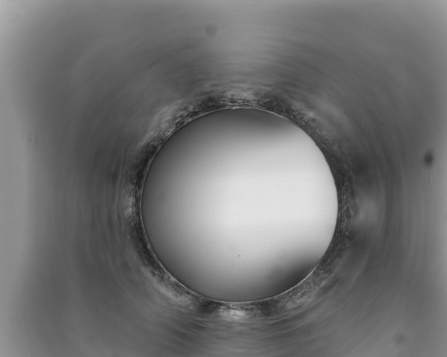 X0000091070706200708131153