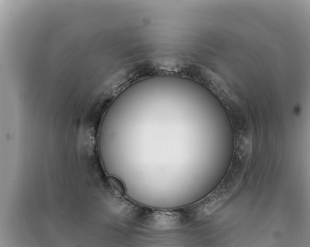 X0000091070707200708131153