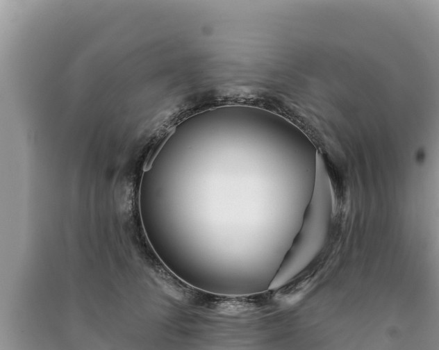 X0000091070708200708131153