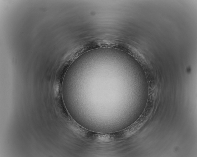 X0000091070709200708131153